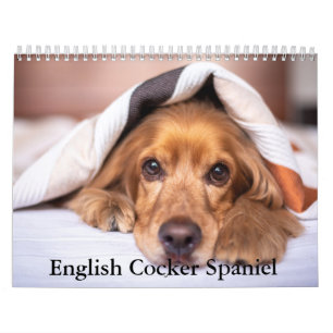 English Cocker Spaniel Dog Calendar
