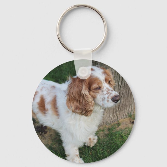 english cocker spaniel orange and white full key ring (Front)