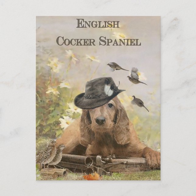 English Cocker Spaniel    Postcard (Front)