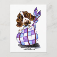 English Cocker Spaniel Sack Puppy