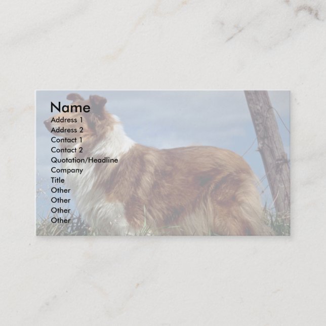 English Collie Business Card (Front)
