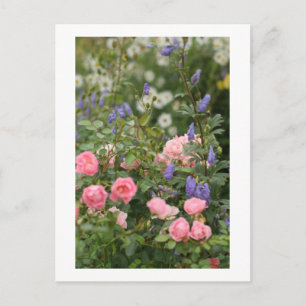 English Cottage Garden Postcard