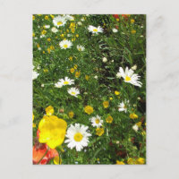 English Cottage Garden