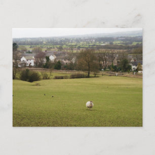 English Countryside Postcard