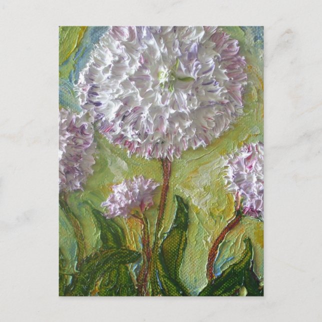 English Daisy Postcard (Front)