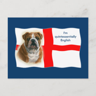 English flag and bulldog Postcard