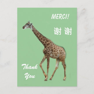 English/French/Chinese thank you card