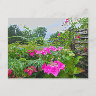English Garden 2 Postcard