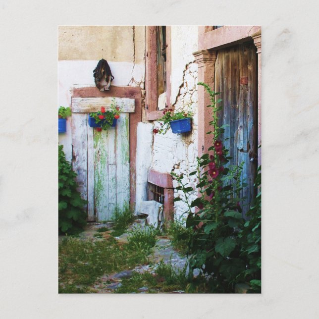 English Garden Hollyhocks and Flowers Postcard (Front)