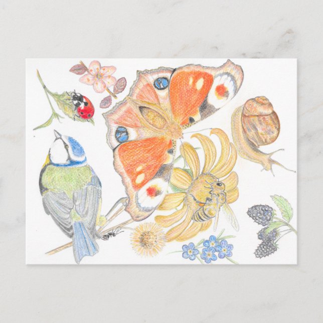 English garden postcard (Front)