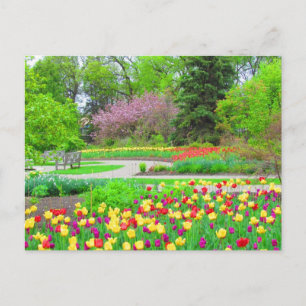 English Garden Tulip Time Postcard