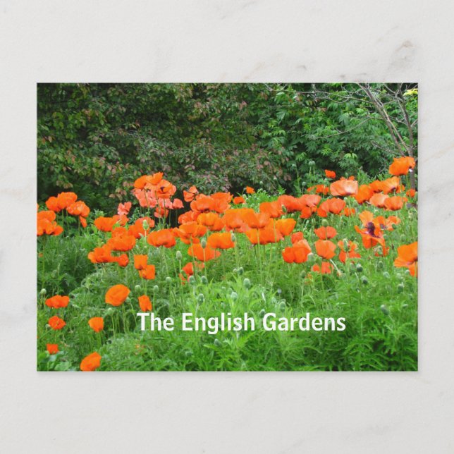 English Garden's Postcard (Front)