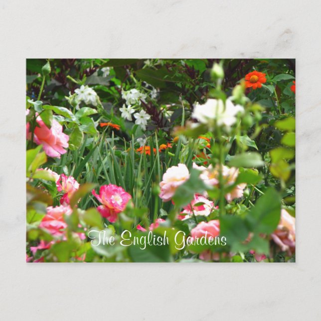 English Garden's Postcard (Front)