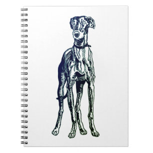 English Greyhound Breed Notebook