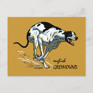english greyhound postcard