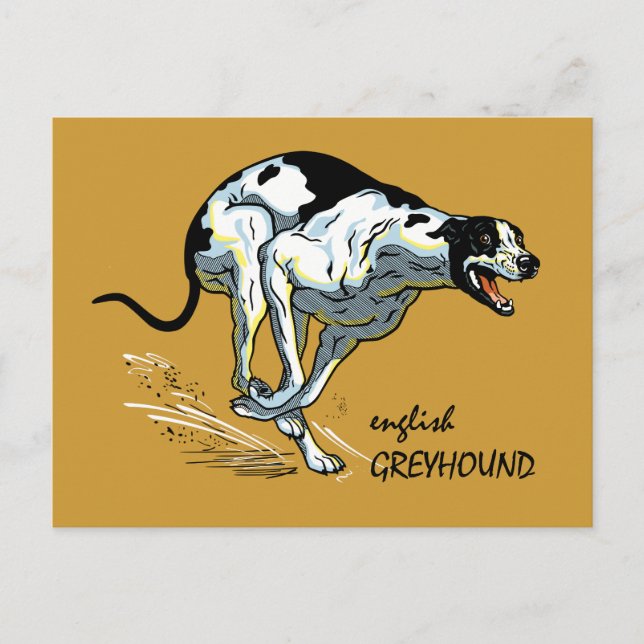 english greyhound postcard (Front)