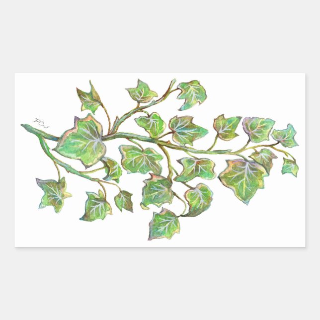 English Ivy Rectangular Sticker (Front)