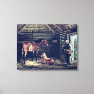 English Mare With Her Foals, 1833 Canvas Print