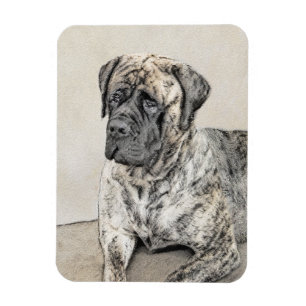 English Mastiff (Brindle) Painting - Dog Art Magnet