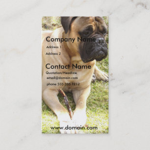 English Mastiff Dog Business Card