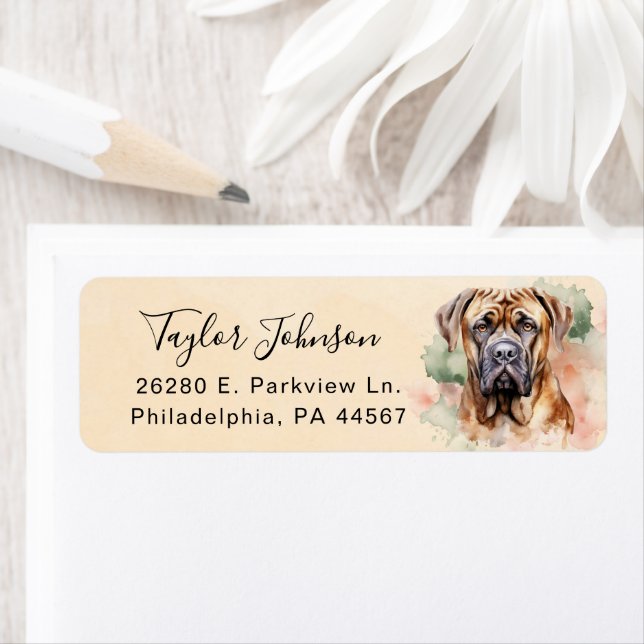 English Mastiff Dog Return Address (Insitu)