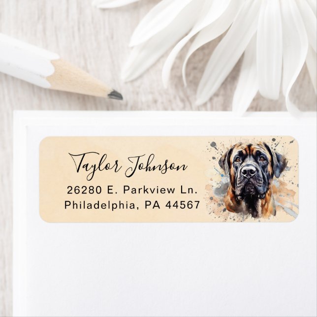 English Mastiff Dog Return Address (Insitu)