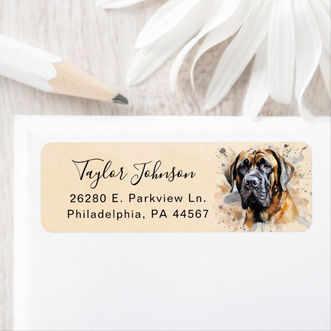 English Mastiff Dog Return Address (Insitu)
