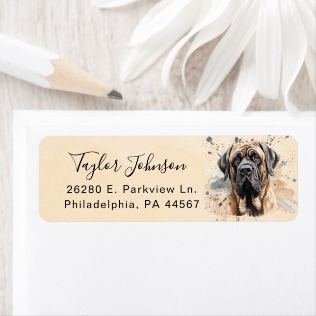 English Mastiff Dog Return Address (Insitu)