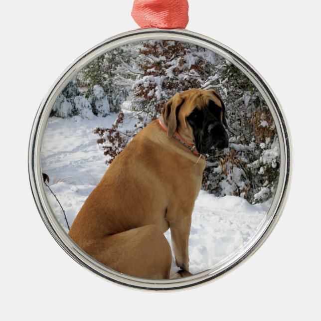 English Mastiff dog "Snow Pose" photo Metal Tree Decoration (Front)
