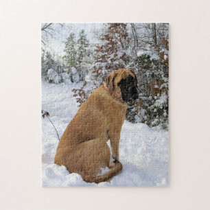 English Mastiff dog "Snow Pose" photo puzzle