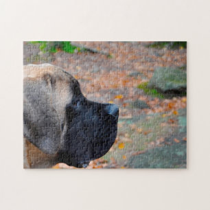 English Mastiff. Jigsaw Puzzle
