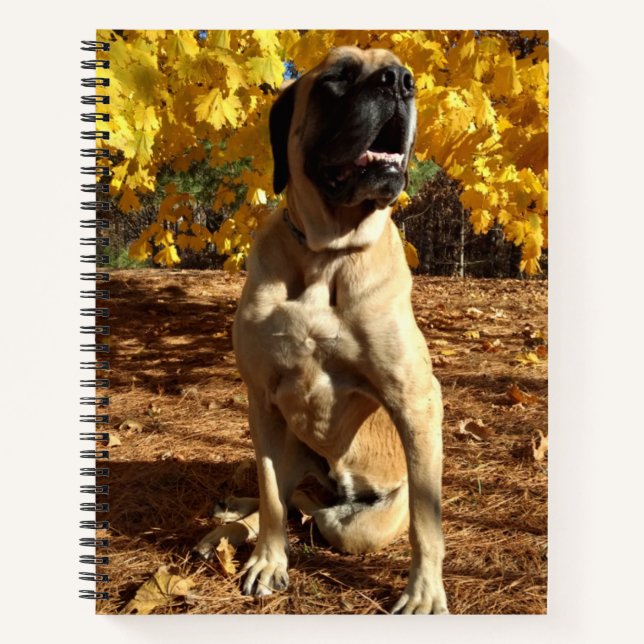 English Mastiff spiral notebook (Front)