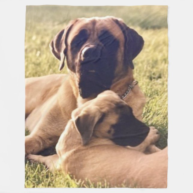 ENGLISH MASTIFFS FLEECE BLANKET (Front)