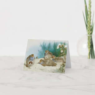 English partridge with gorse and thistles, Art Card