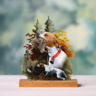 English Pointer  Acrylic Sign