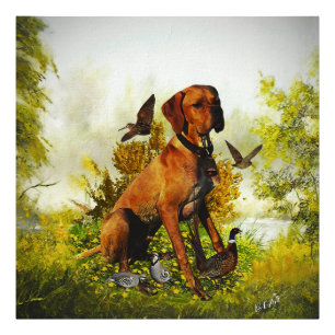 English pointer, bird hunting photo print