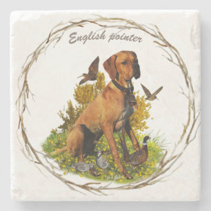 English pointer, bird hunting stone coaster