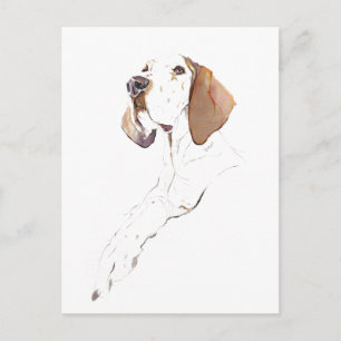 English Pointer Postcard, Watercolor Painting Postcard