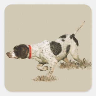English Pointer Square Sticker