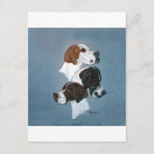 English Pointer Trio Head Study Postcard