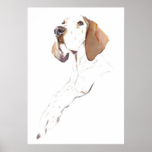English Pointer Wall Art Poster, Dog Art Print