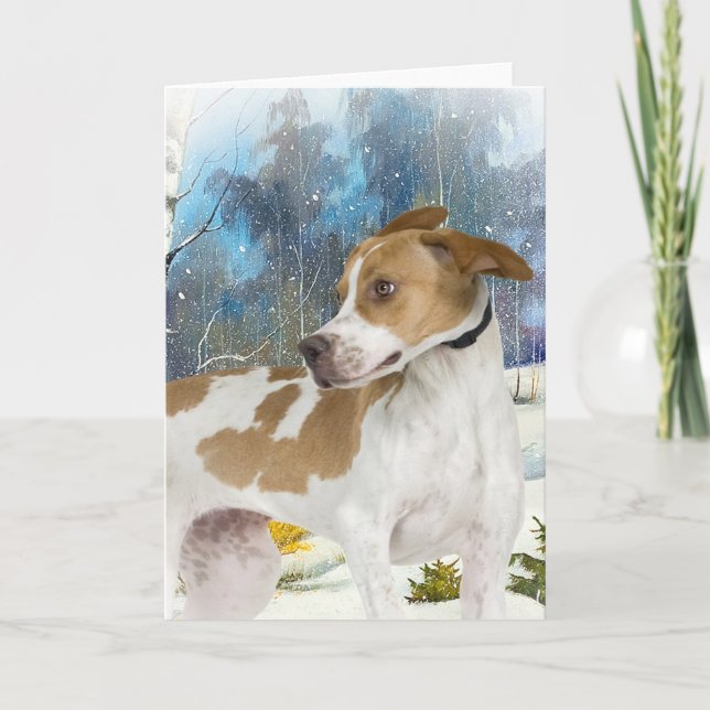 English Pointer winter scene cards (Front)