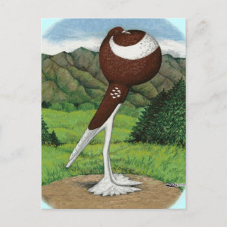 English Pouter Pigeon With Mountains Postcard