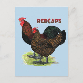 English Redcaps Postcard