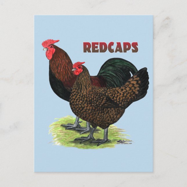 English Redcaps Postcard (Front)
