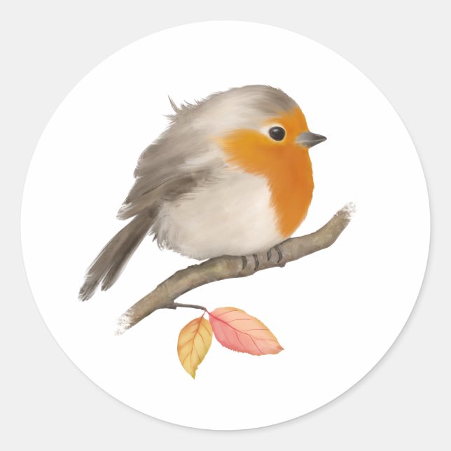 English Robin Bird Classic Round Sticker (Front)