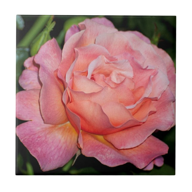 English Rose Ceramic Tile (Front)