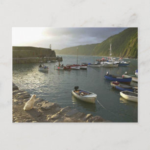 English Scenes, Clovelly harbour Devon, Postcard