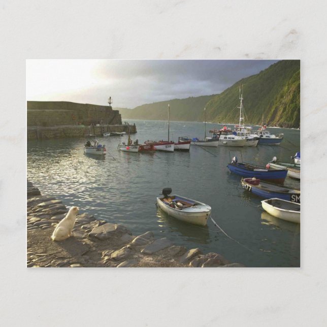 English Scenes, Clovelly harbour Devon, Postcard (Front)