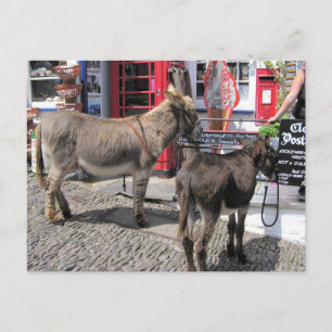 English Scenes, Donkeys in Clovelly, North Devon Postcard